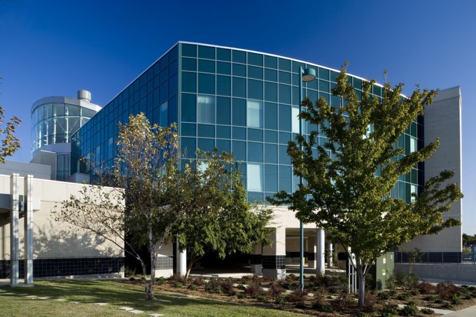 Musculoskeletal Institute